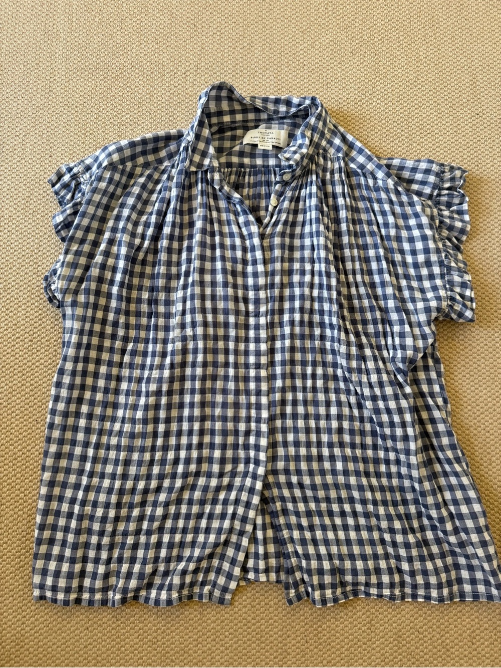 Trovata Blue and White Gingham Button-Front Blouse